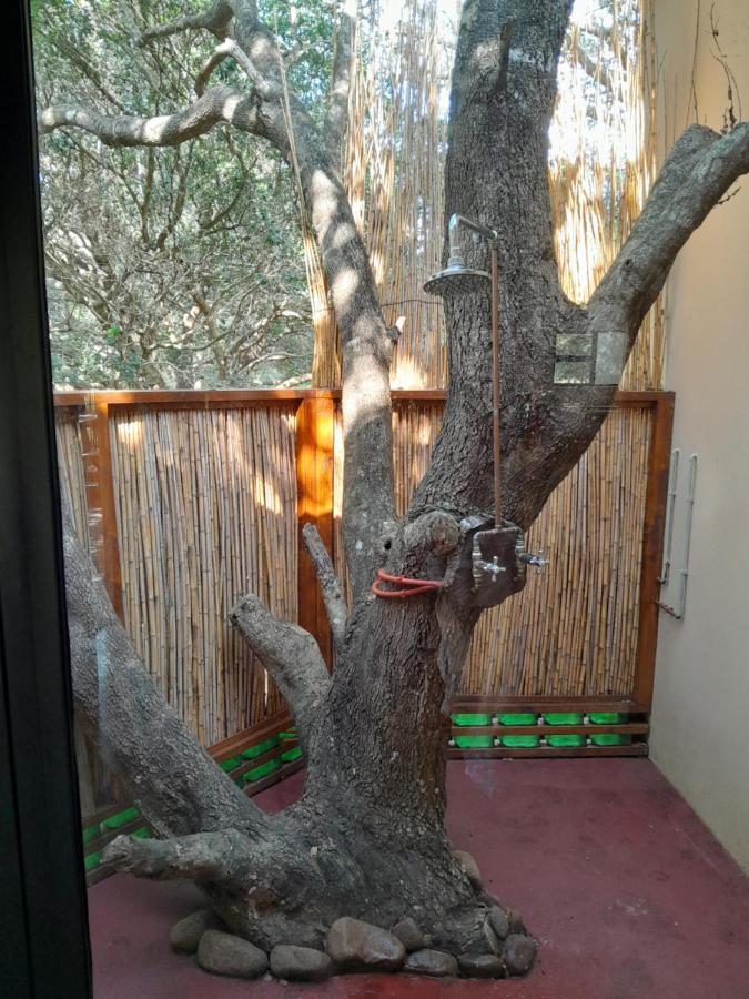 Kosi Bay Casitas Villa Manguzi Exterior foto